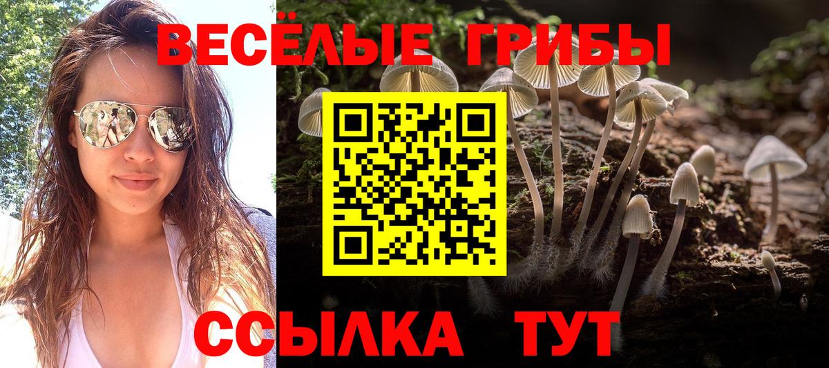 Псилоцибиновые грибы Psilocybine cubensis Туймазы